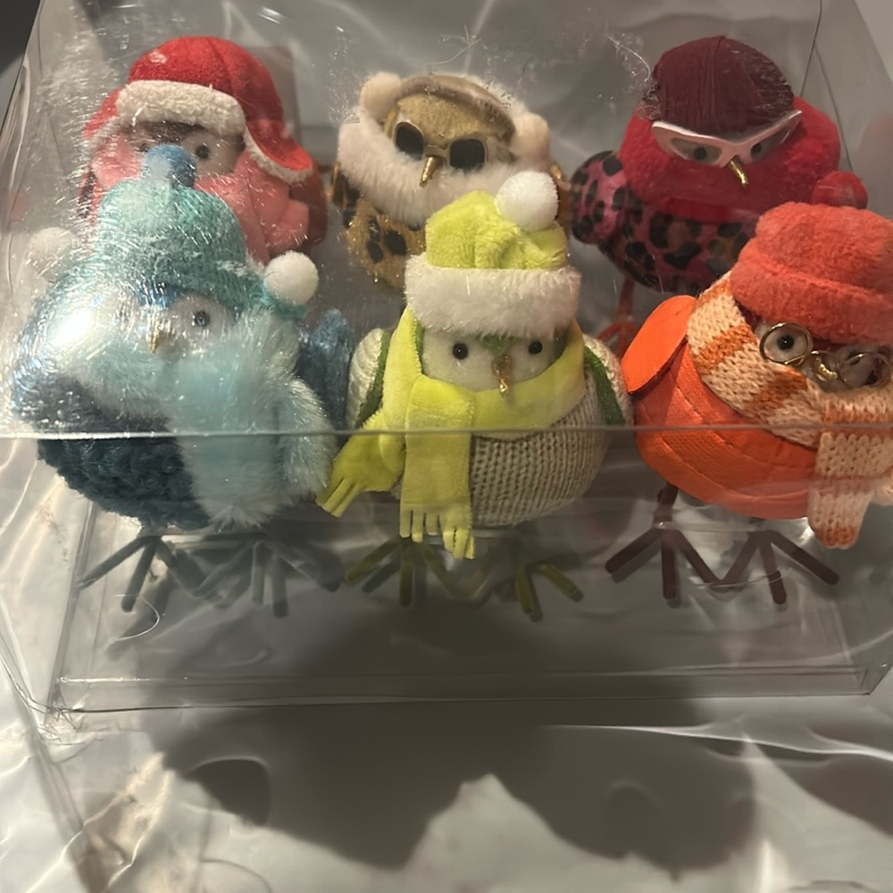 Target Wondershop 2023 Feathery Friends Christmas/winter set of 6 mini birds NEW